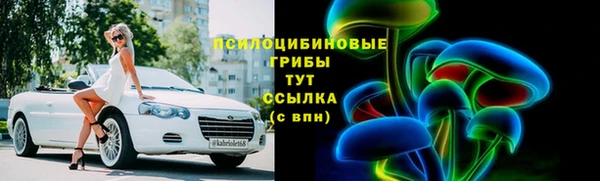 метадон Гусь-Хрустальный
