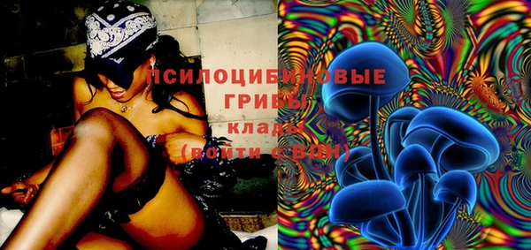 тгк Гусев