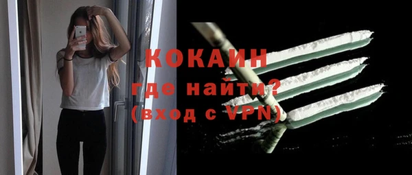тгк Гусев
