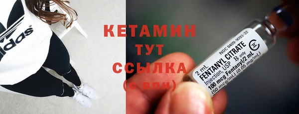 тгк Гусев