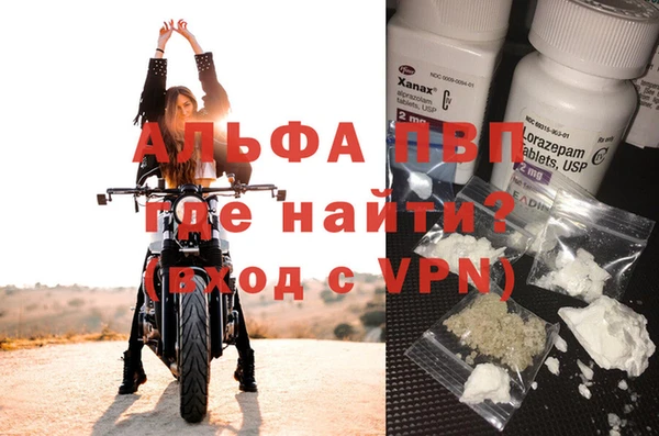 тгк Гусев