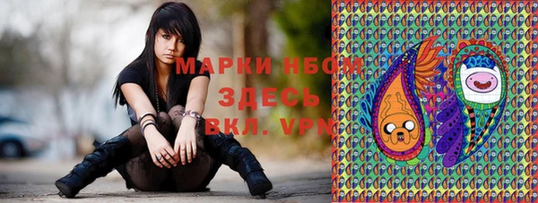 метадон Гусь-Хрустальный