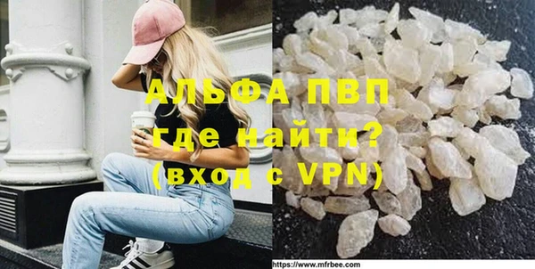тгк Гусев