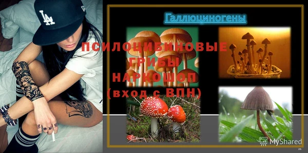 тгк Гусев