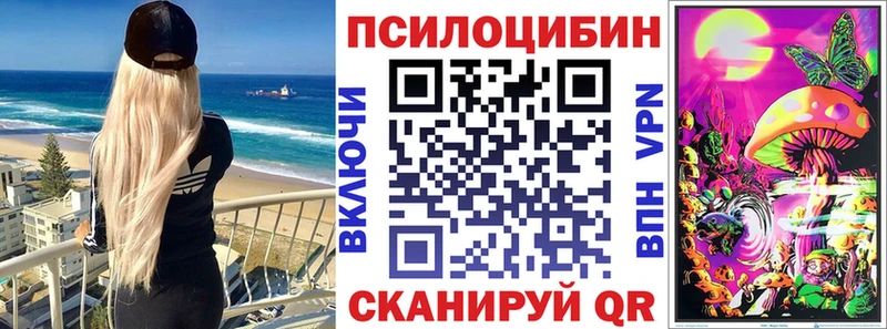 Псилоцибиновые грибы Psilocybe Озёрск